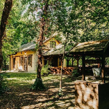 Forest House Palić Buitenkant foto