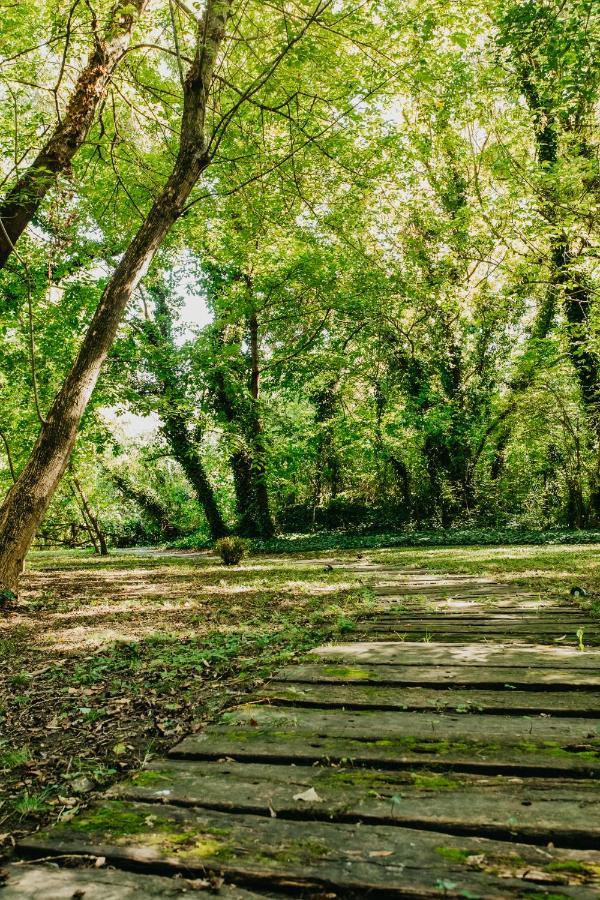 Forest House Palić Buitenkant foto