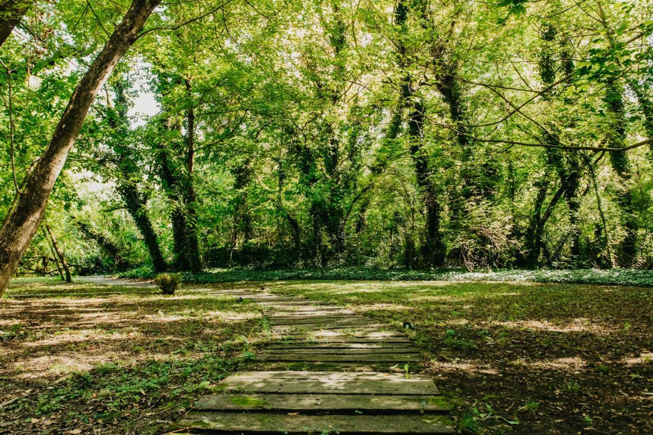 Forest House Palić Buitenkant foto