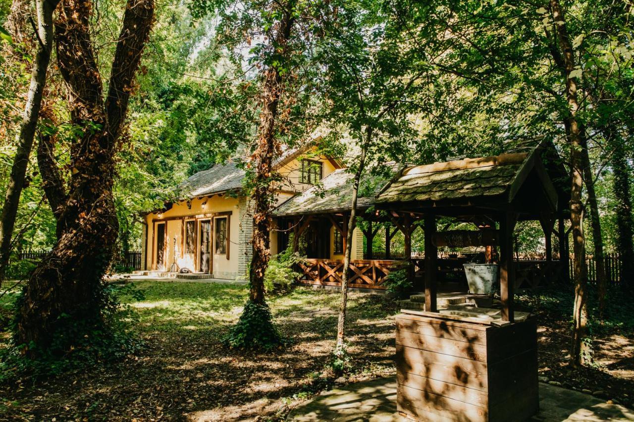 Forest House Palić Buitenkant foto