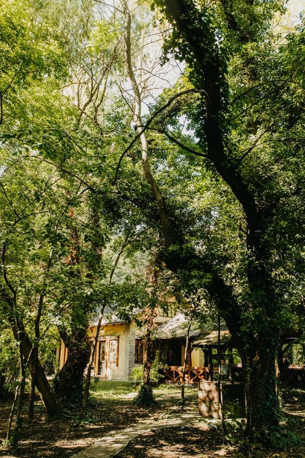 Forest House Palić Buitenkant foto
