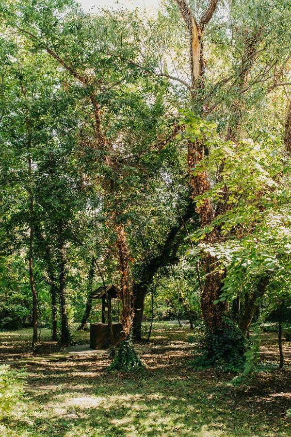 Forest House Palić Buitenkant foto