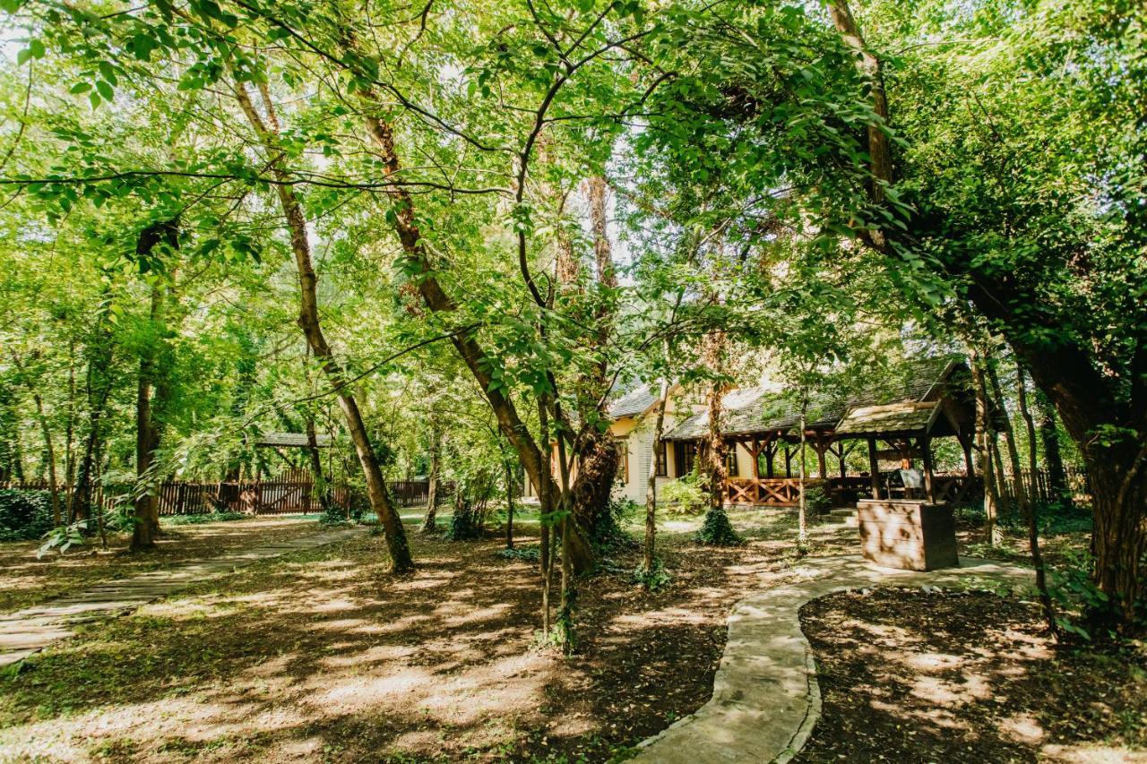 Forest House Palić Buitenkant foto